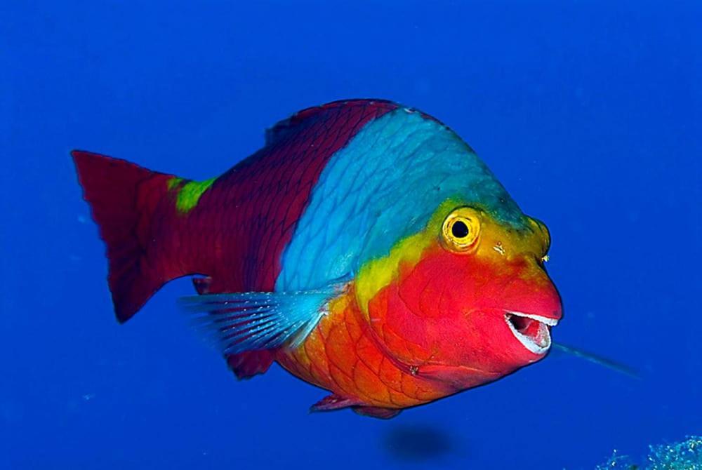 Acquario Dei Fralle Ористано Экстерьер фото
